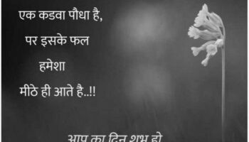 Best Good Morning 2 Line Status In Hindi Image | GdMorningQuote image 0