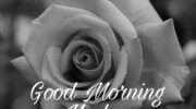 Beautiful Good Morning Love Shayari Image For Download | GdMorningQuote image 0