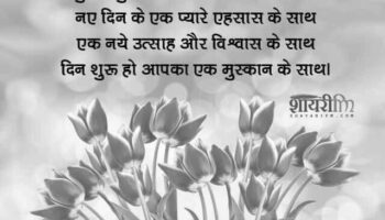 Good Morning Shayari In Hindi | GdMorningQuote image 0