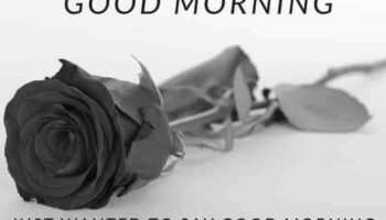 Sweet Good Morning Love Shayari With Rose Image | GdMorningQuote image 0