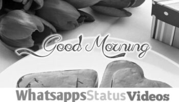 Best Good Morning Status With Image Download | GdMorningQuote image 0