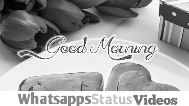 Best Good Morning Status With Image Download | GdMorningQuote image 0