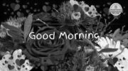Good Morning Status Download With Image | GdMorningQuote image 0