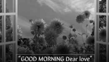 Best Good Morning 2 Line Status In Hindi | GdMorningQuote photo 0