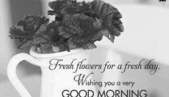 Good Morning Fresh Flowers photo 0