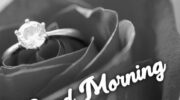 Send Roses For Good Morning Messages image 0