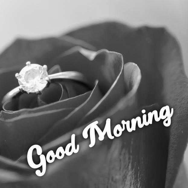 Send Roses For Good Morning Messages image 0