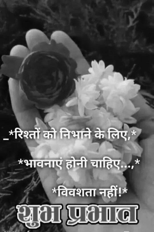 Good Morning Flowers Quotes in Hindi image 0