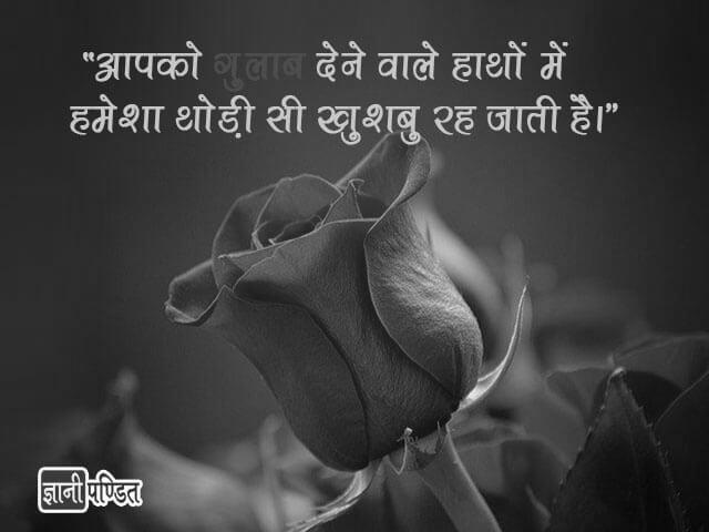 Rose Flower Quotes in Hindi image 1