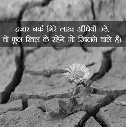Beautiful Flowers Images With Quotes in Hindi photo 1