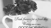 Good Morning With Fresh Flowers image 0