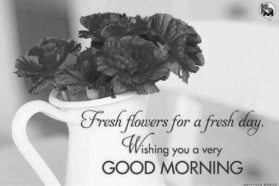 Good Morning With Fresh Flowers image 0